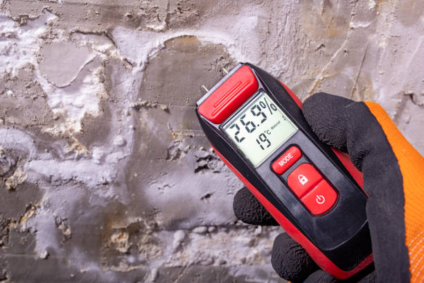 Best Crawl Space Mold Removal  in Lakeview, WA