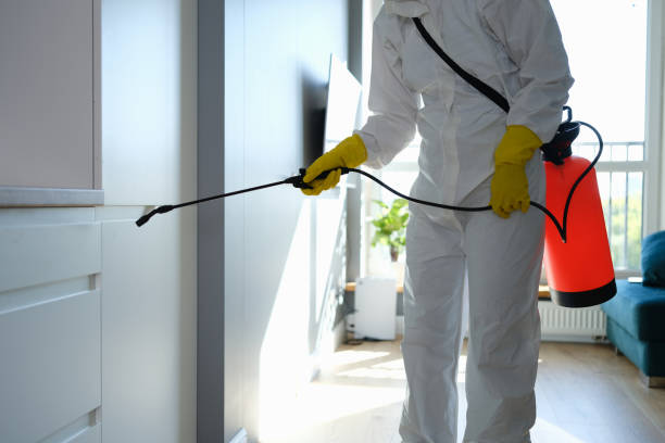 Best Mold Remediation Experts  in Lakeview, WA