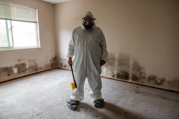Best Mold Cleaning Services  in Lakeview, WA
